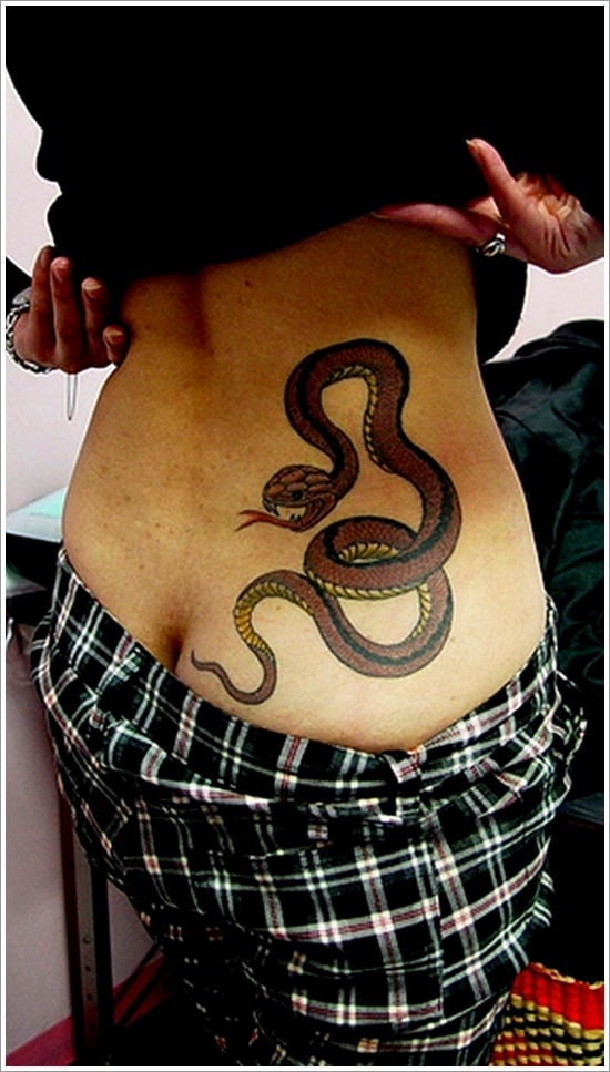  Snake Tattoo Designs 