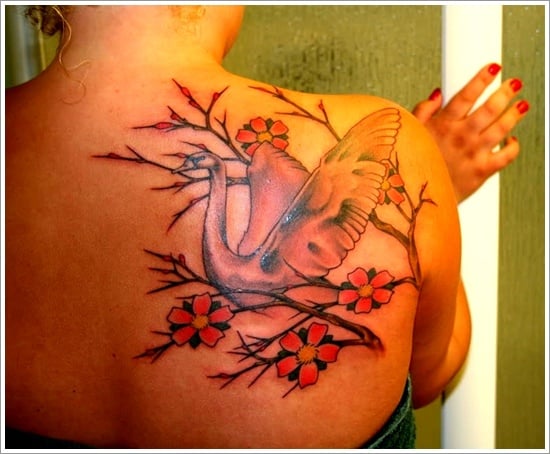  swan tattoo designs (1) 