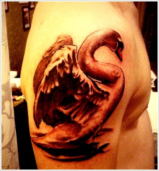 swan tattoo designs (14)