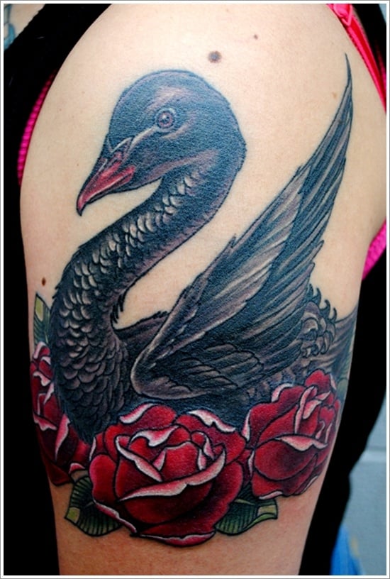 swan tattoo designs (3)