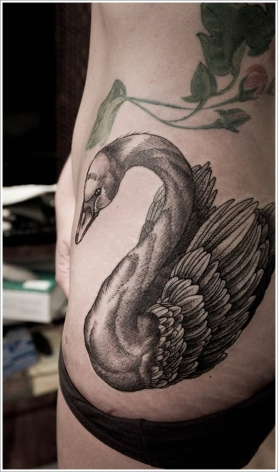 swan tattoo designs (19)