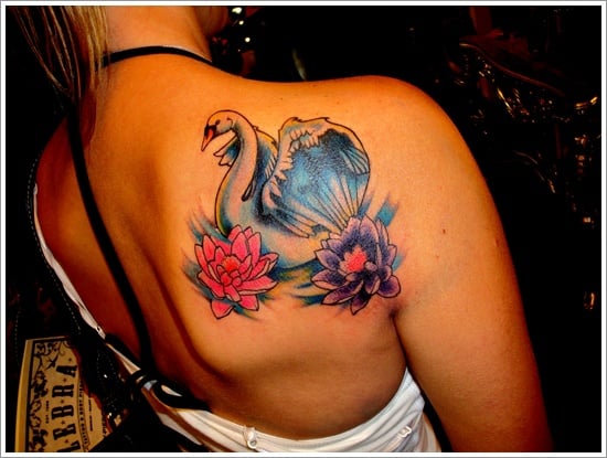 swan tattoo designs (30)