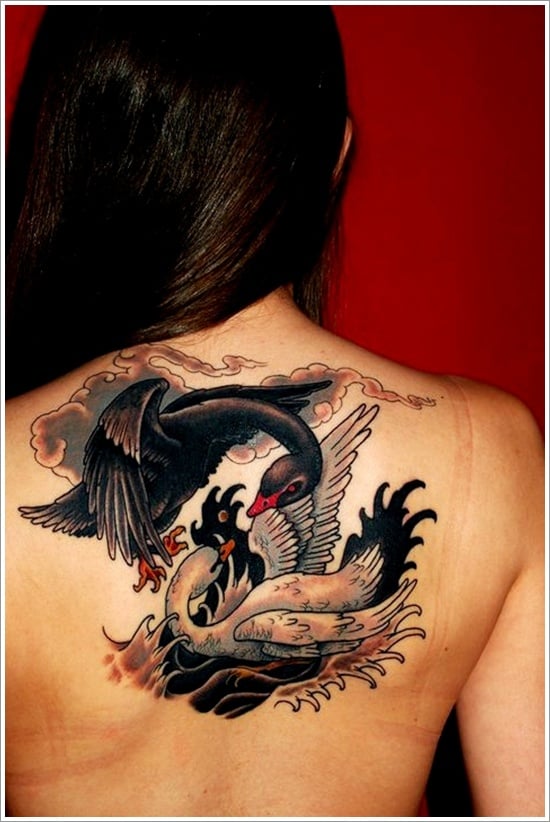 swan tattoo designs (8)
