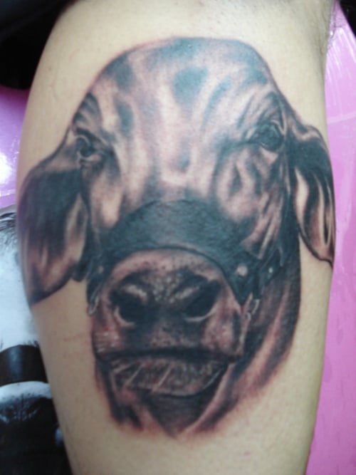 Cow Tattoo (11)