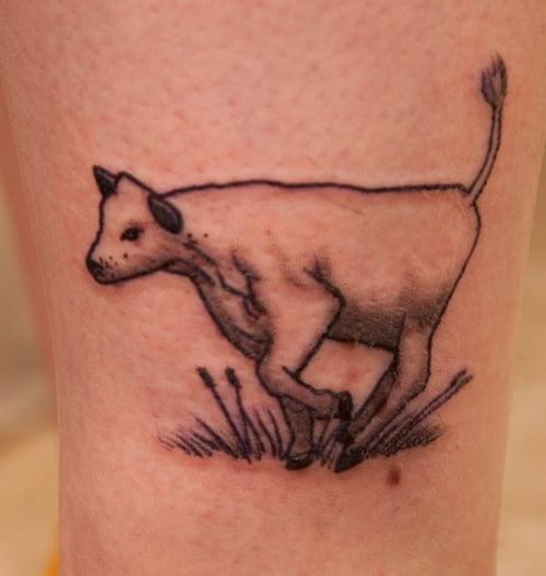 Cow Tattoo (8)