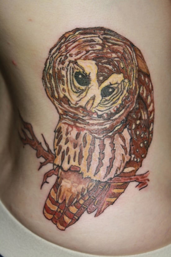  Owl Tattoo (5) 