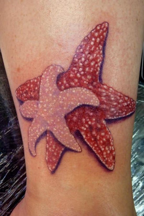  Starfish Tattoo (15) 