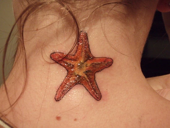  Starfish Tattoo (25) 