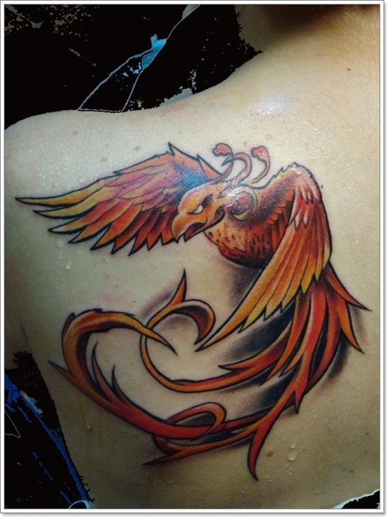 Phoenix tattoo design, idea 23