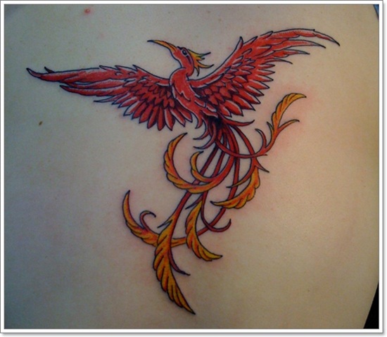 Phoenix tattoo design, idea 8