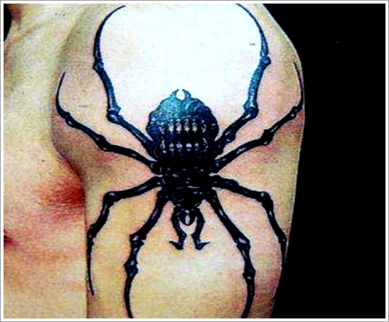 Attractive spider tattoo design, idea 26