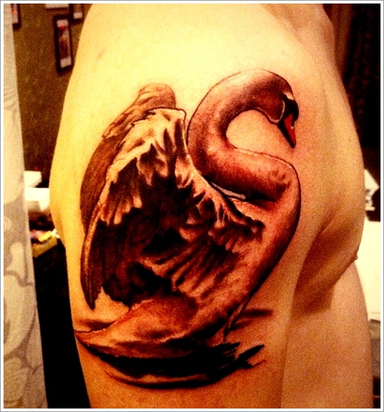 Swan design, idea 26