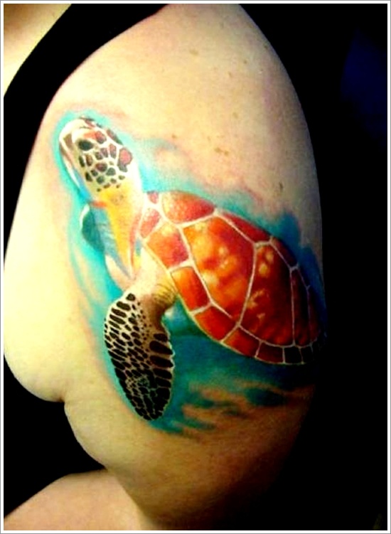 Turtle design, idea 29