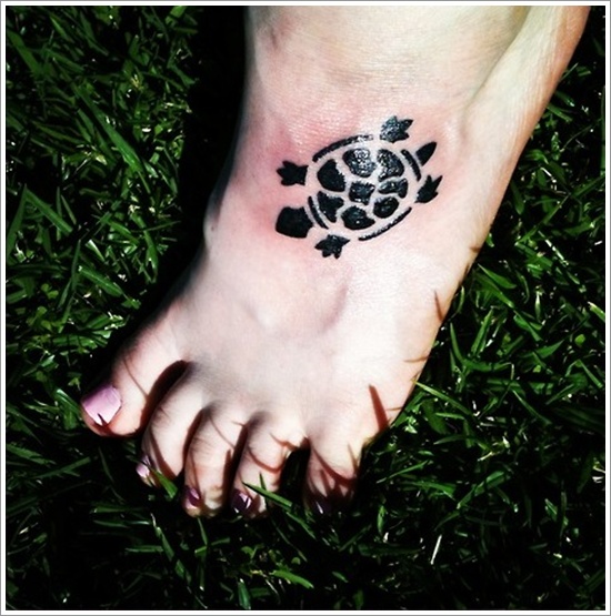 Turtle design, idea 7