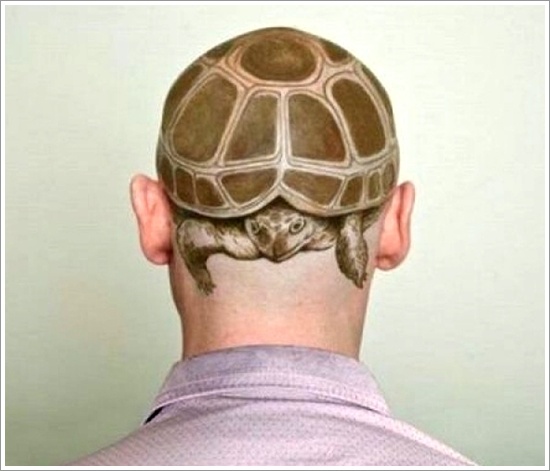 Turtle design, idea 18