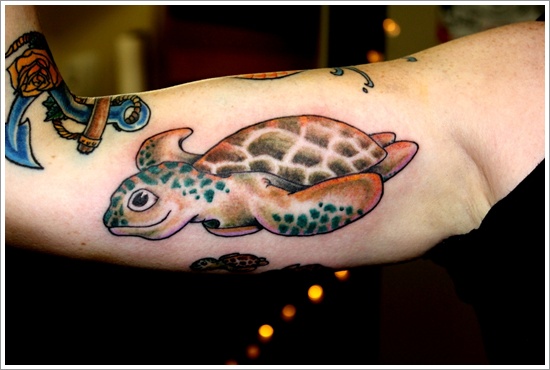 Turtle design, idea 34