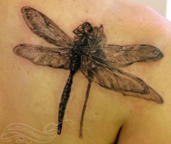 Cute and sexy dragonfly tattoo design, idea 32