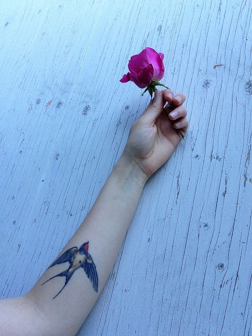 Swallow Bird Tattoo