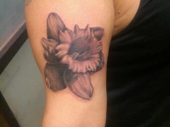 Daffodil tattoo design, idea 23