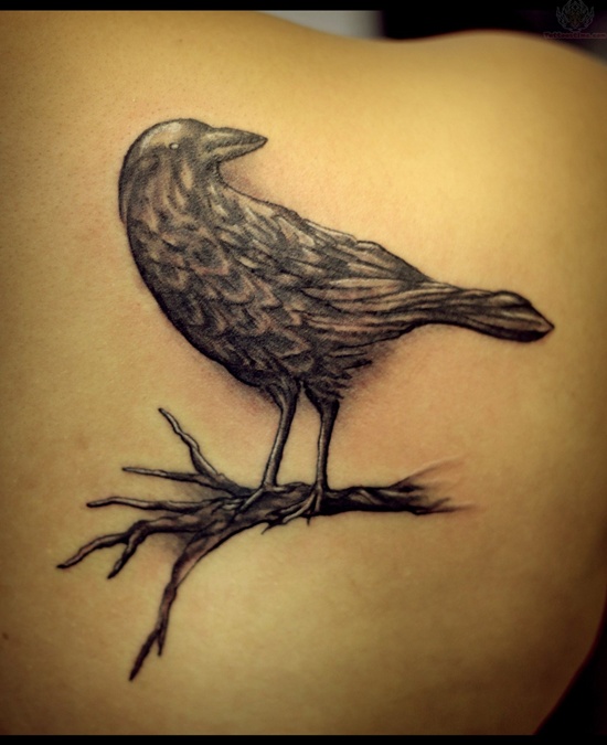 Raven tattoo design, idea 47