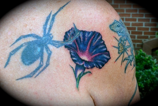 Morning glory tattoos design, idea 10