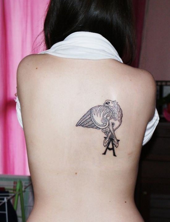 SONY DSC