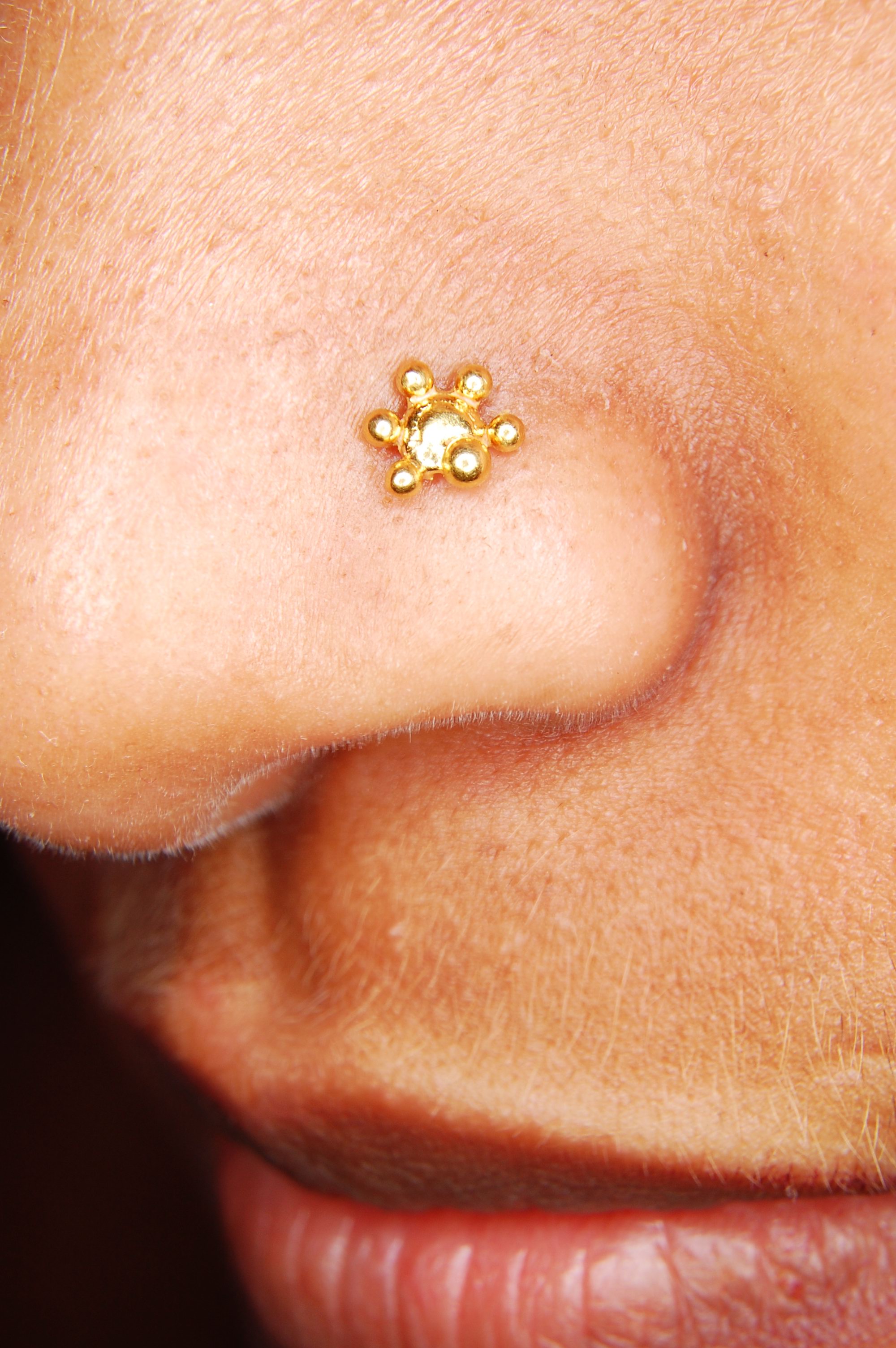 Ways nose piercings can change look design, idea 8