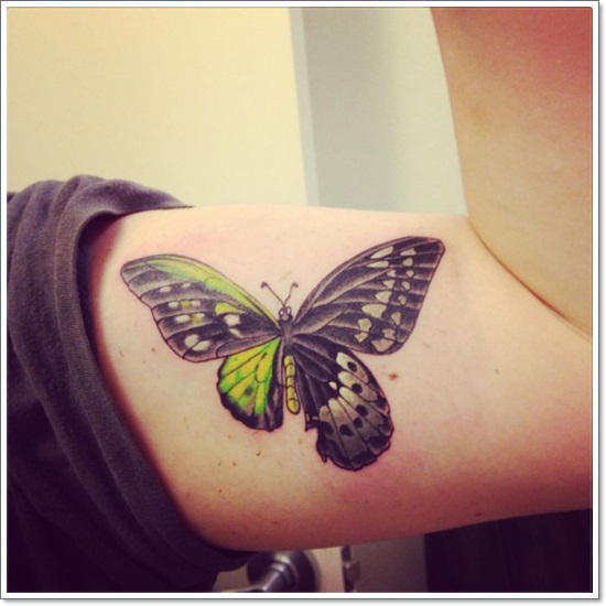 Butterfly tattoo design design, idea 93