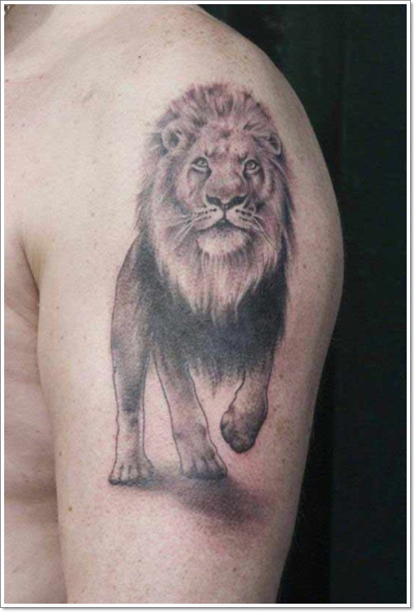 Lion tattoo design design, idea 13