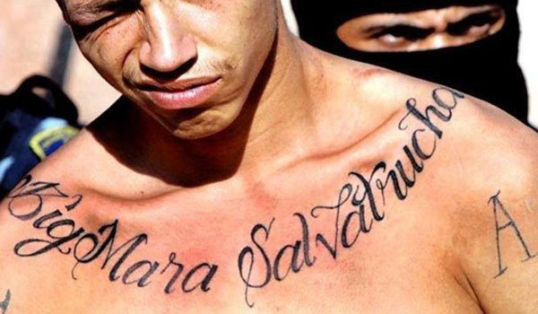 Collar bone tattoo design, idea 3