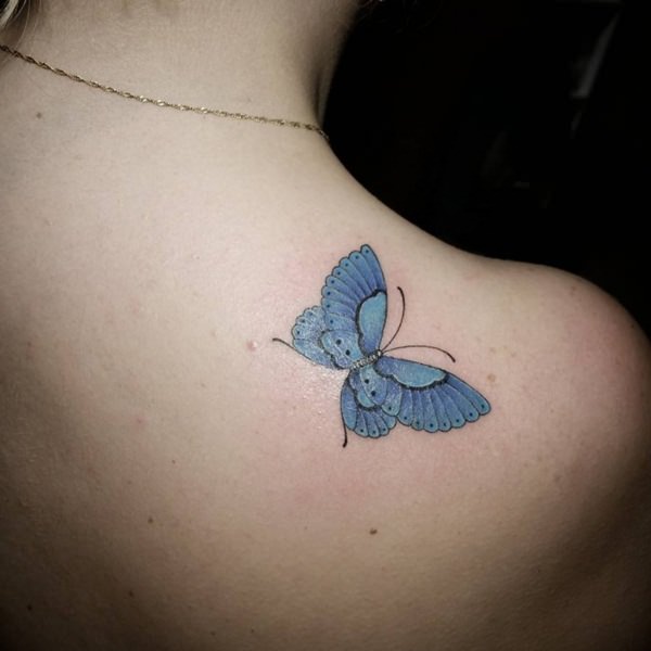 Butterfly tattoo design design, idea 53
