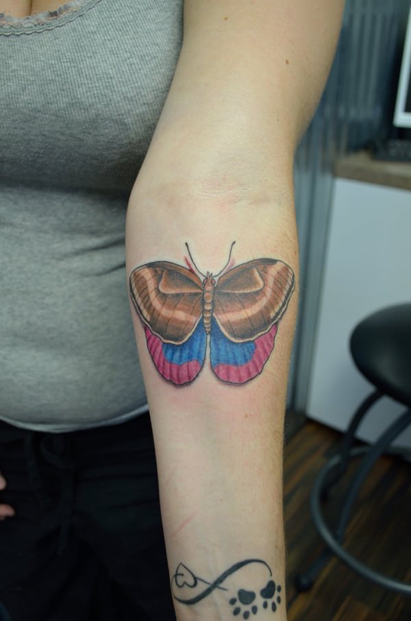Butterfly tattoo design design, idea 18