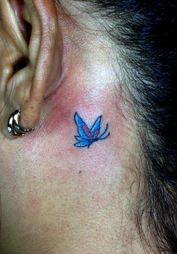 Butterfly tattoo design design, idea 58