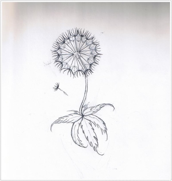 Kick ass dandelion tattoos design, idea 11