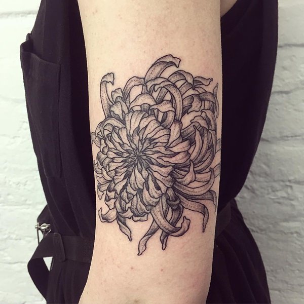 Chrysanthemum tattoo design design, idea 31