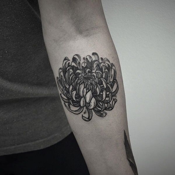 Chrysanthemum tattoo design design, idea 42