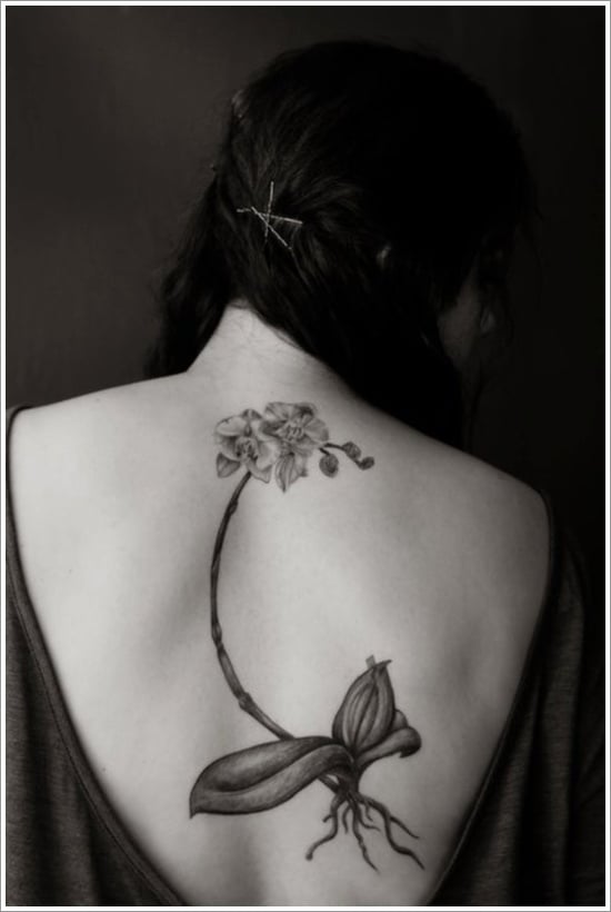 orchid tattoo design (1)