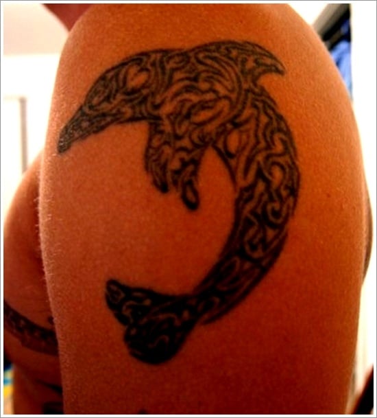 Dolphin tattoo designs (10)