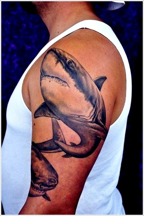 Roses and Shark Graphic tattoo sleeve  Best Tattoo Ideas Gallery