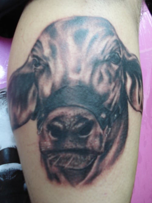 25 Cool Cow Tattoo Ideas